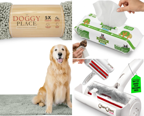 How I Keep My House From Smelling Like a Dog: The Sprays, Vacuums & Tools That Actually Work cover photo collage