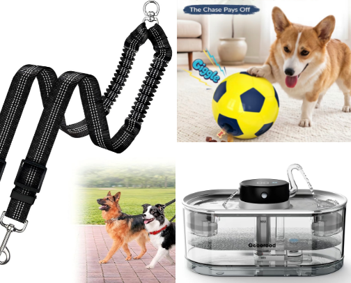 Spoiled Dog Starter Pack: My Favorite Pet Must-Haves cover photo collage