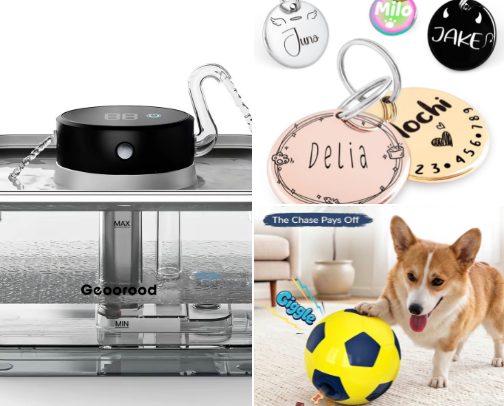 Spoiled Dog Starter Pack: My Favorite Pet Must-Haves cover photo collage