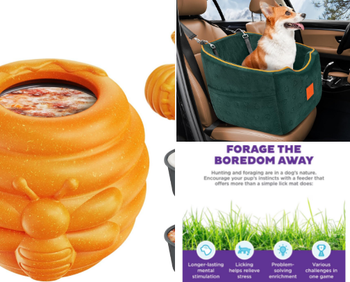Spoiled Dog Starter Pack: My Favorite Pet Must-Haves cover photo collage