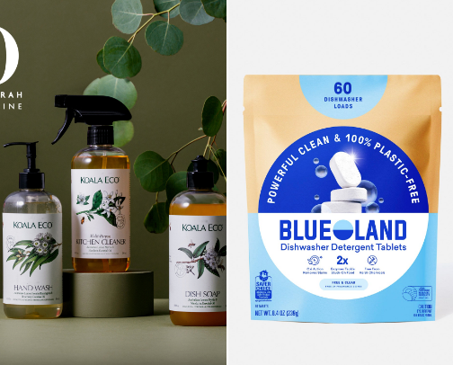 Non-Toxic Cleaning Products cover photo collage