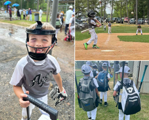 Our Baseball Picks! cover photo collage