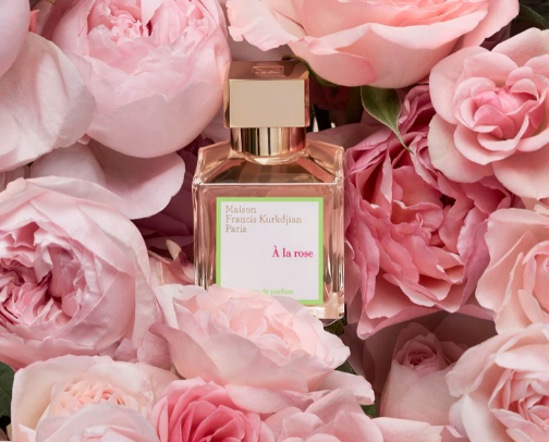 Best Summer Perfumes by Note | Citrus, Coconut, Rose & More | Find Your Perfect Signature Scent cover photo collage