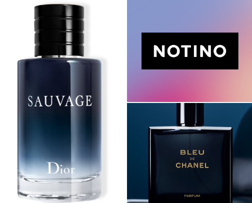 20 Best man’s perfumes cover photo collage