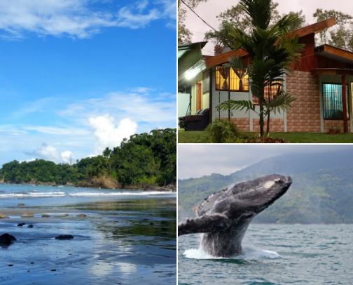 Places to Visit in Costa Rica cover photo collage