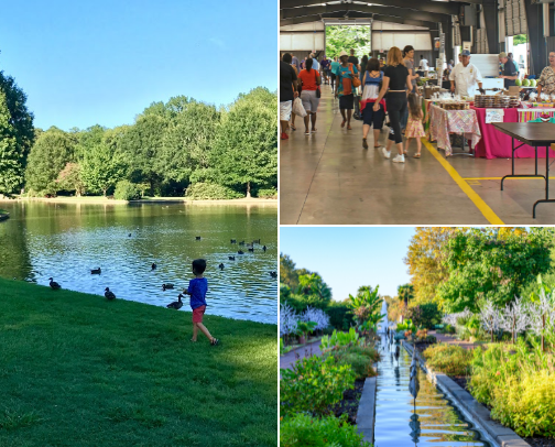 Activities and Munchies cover photo collage