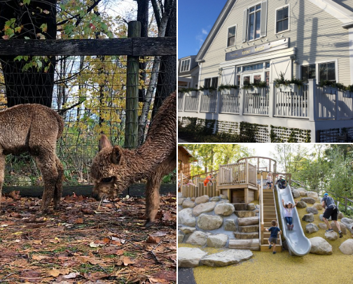 West of Boston Road Trip - Apples, farms, beer, ice cream - OH MY! cover photo collage