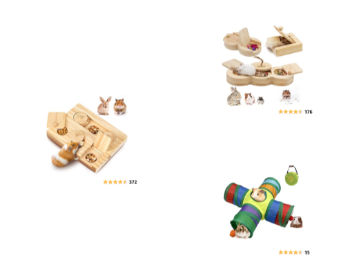 Guinea Pig Essentials Continued cover photo collage