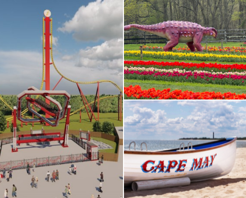 New Jersey  finds cover photo collage