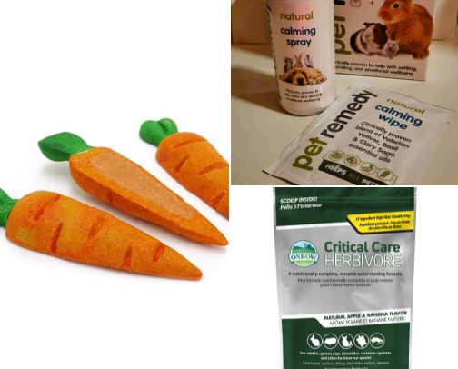 Rabbits Secret Dream Life cover photo collage