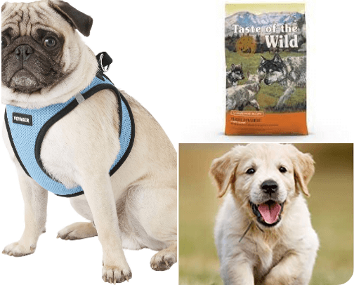 Puppy Recs cover photo collage