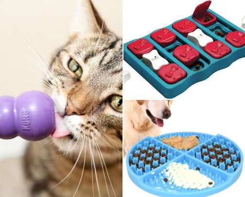 Enrichment dog ideas cover photo collage