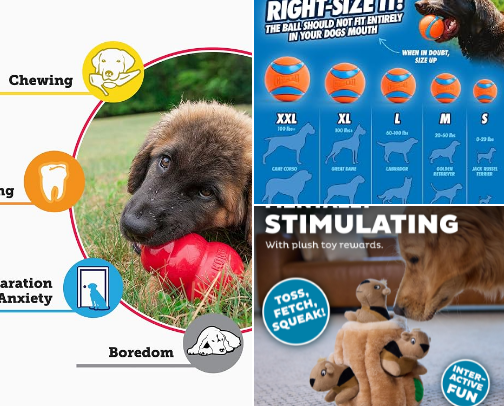 Dog Toys Every Dog Owner Needs cover photo collage