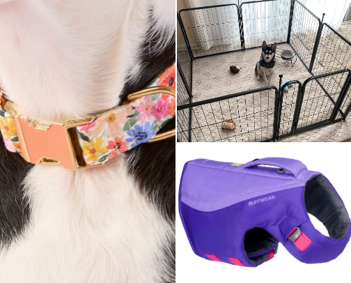 Top Pet Products cover photo collage
