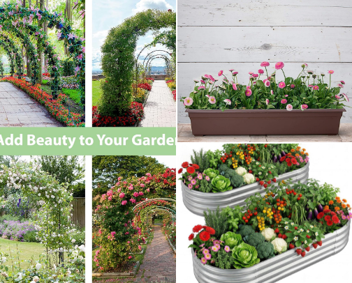 Narrow Flower Garden cover photo collage