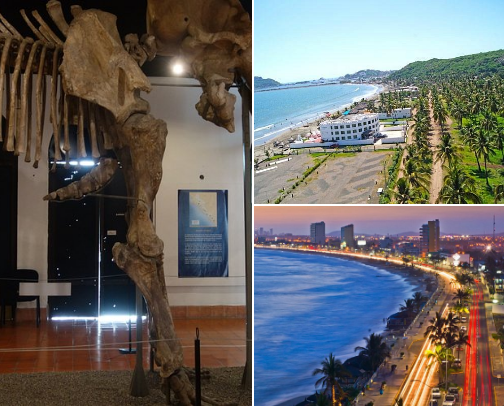 Mazatlan activities cover photo collage
