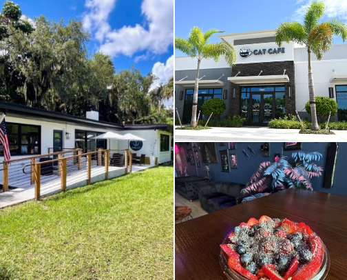 South Florida Coffee Shops cover photo collage