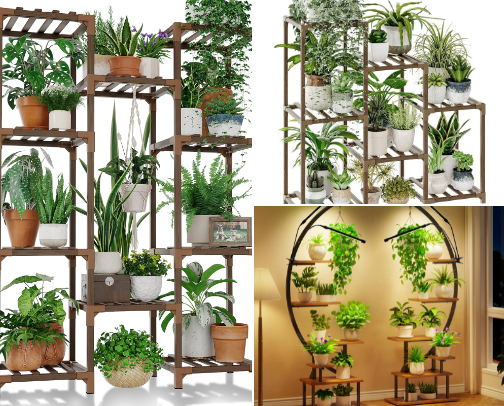 Indoor plants & propogating cover photo collage