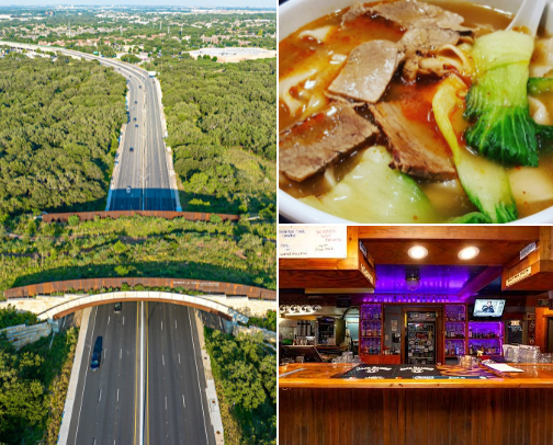 My top San Antonio recs cover photo collage