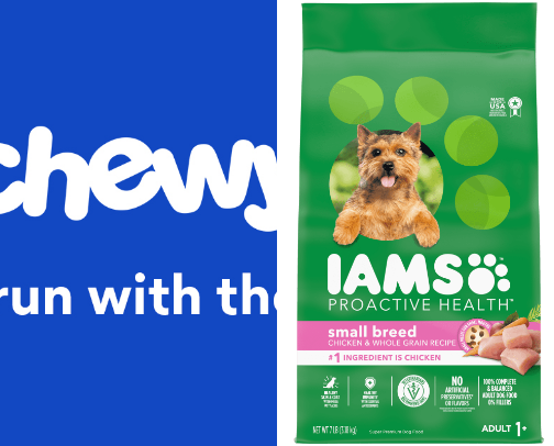 Dog care cover photo collage