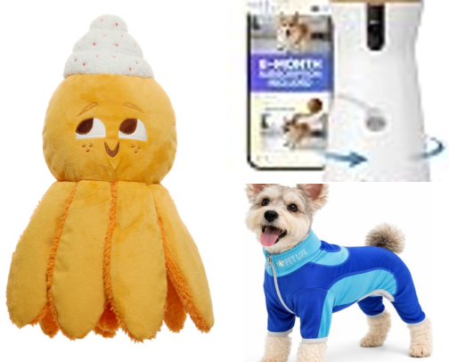 Frenchie Favorites cover photo collage