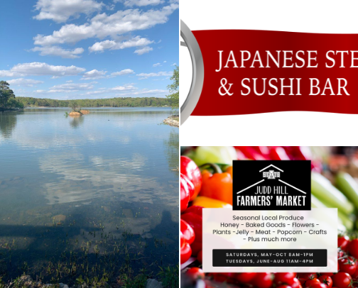 Places to go to when in the diamon state 💎 AR cover photo collage