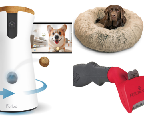 Everyday Dog Essentials that are Totally Worth it 🐾 cover photo collage