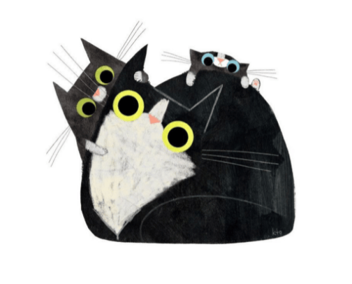 Cat stuff 🐈 cover photo collage