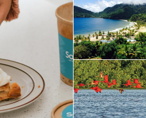 My top local recs cover photo collage