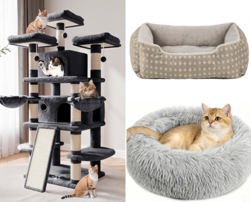 Spoiled Rotten: Feline Favorites & Daily Essentials cover photo collage
