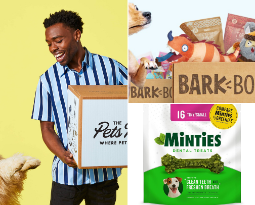 Dog Favorites cover photo collage