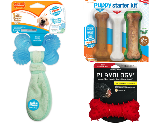 Perfect Toys for new Puppies cover photo collage