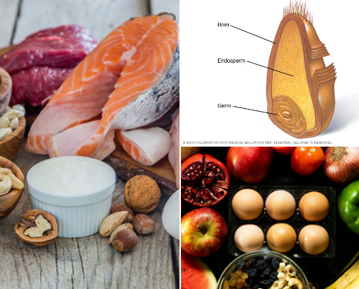 How to Nourish Your New Mom Body cover photo collage