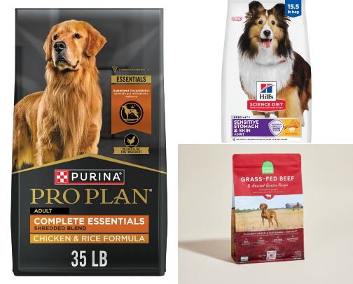 The "Winter Vitality" Blueprint: Precision Nutrition for Your Dog cover photo collage