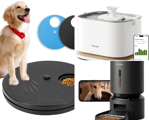 Pets cover photo collage