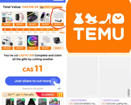 Temu freee products cover photo collage