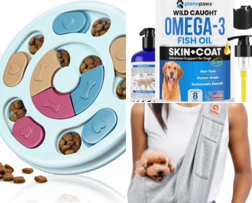 Do you have a Poodle? cover photo collage