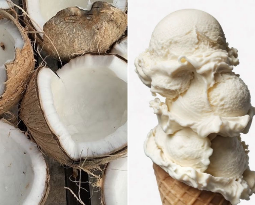 Scent Specifics: Cocoa and Vanilla cover photo collage