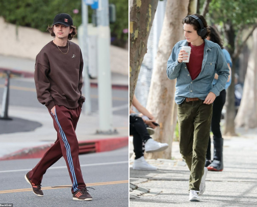 Timothée Chalamet-Inspired Outfit cover photo collage