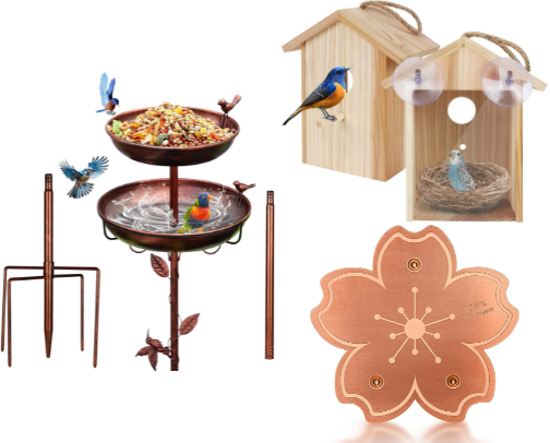 Bird Lover Must-Haves for Your Backyard Oasis cover photo collage