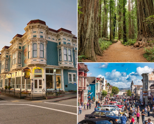 Ferndale, Ca. Things to do & see, places to eat & stay cover photo collage