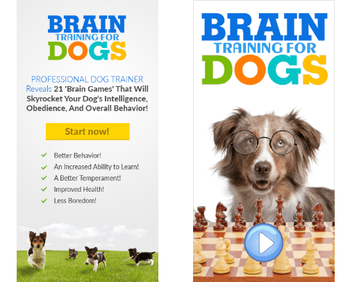 Unlock the Secrets to Perfect Pet Behavior! 📖 FREE Dog Training Ebook - Fetch Your Copy Now! cover photo collage