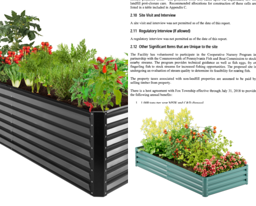 How I Went From Empty Patio to Growing Vegetables in One Afternoon cover photo collage