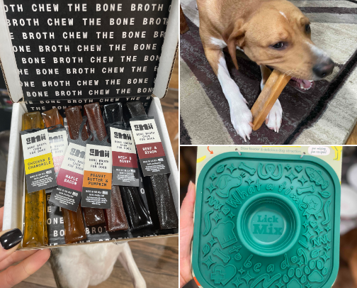 Ideas to Keep Your Dog From Getting Bored cover photo collage