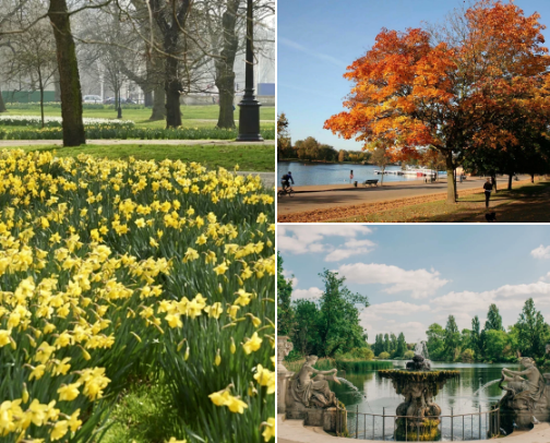 Royal Parks cover photo collage