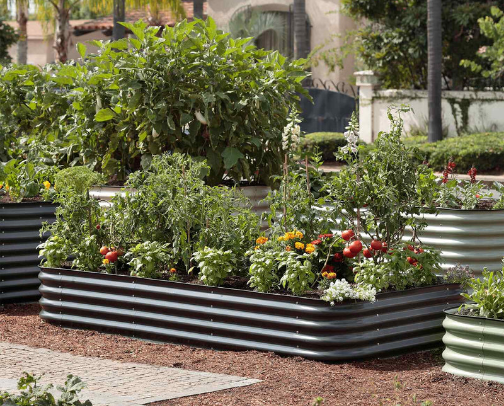 Raised Bed Gardening Essentials I Love (Tools, Seeds, and Garden Setup) cover photo collage