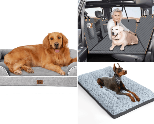 Pet cover photo collage