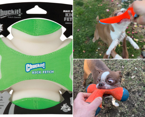Fun Pet Products to Try cover photo collage