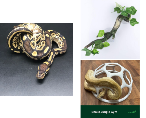 Cute Habitat Décor & Pet Accessories for Rabbits, Guinea Pigs, Reptiles & Bird | Enrichment Toys, Hideouts & Cage Décor. cover photo collage