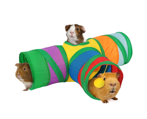 Create Cozy, Cute Spaces for Pets 🐾 Favorite Décor & Comfort Picks cover photo collage